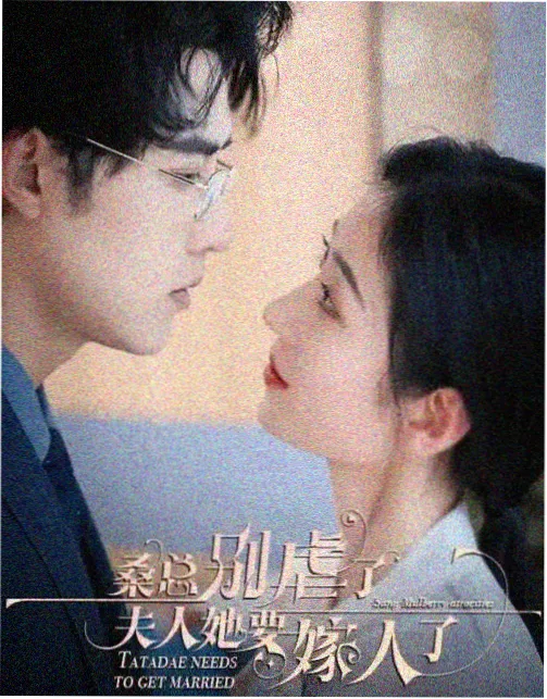 影片图鉴条目等高线笔记封面